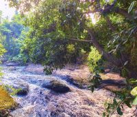 Villa Tukad Pangi, River View